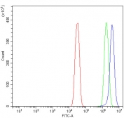 Flow cytometry testing of human SiHa cells with Nucleoredoxin antibody at 1ug/million cells (blocked with goat sera); Red=cells alone, Green=isotype control, Blue= Nucleoredoxin antibody.