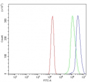 Flow cytometry testing of human U-2 OS cells with ORC1 antibody at 1ug/million cells (blocked with goat sera); Red=cells alone, Green=isotype control, Blue= ORC1 antibody.