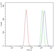 Flow cytometry testing of mouse HEPA1-6 cells with P2y12 antibody at 1ug/million cells (blocked with goat sera); Red=cells alone, Green=isotype control, Blue= P2y12 antibody.