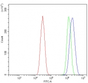 Flow cytometry testing of mouse HEPA1-6 cells with P2y12 antibody at 1ug/million cells (blocked with goat sera); Red=cells alone, Green=isotype control, Blue= P2y12 antibody.