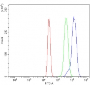 Flow cytometry testing of human HL60 cells with PIK3R1 antibody at 1ug/million cells (blocked with goat sera); Red=cells alone, Green=isotype control, Blue= PIK3R1 antibody.