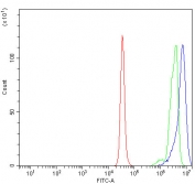 Flow cytometry testing of human K562 cells with CoREST antibody at 1ug/million cells (blocked with goat sera); Red=cells alone, Green=isotype control, Blue= CoREST antibody.