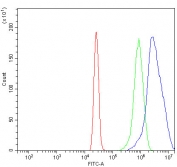 Flow cytometry testing of human HL60 cells with Sur8 antibody at 1ug/million cells (blocked with goat sera); Red=cells alone, Green=isotype control, Blue= Sur8 antibody.