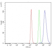 Flow cytometry testing of human Raji cells with PRPF39 antibody at 1ug/million cells (blocked with goat sera); Red=cells alone, Green=isotype control, Blue= PRPF39 antibody.
