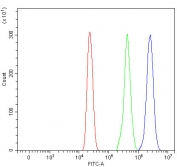 Flow cytometry testing of fixed and permeabilized human HL60 cells with RAB43 antibody at 1ug/million cells (blocked with goat sera); Red=cells alone, Green=isotype control, Blue= RAB43 antibody.