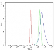 Flow cytometry testing of mouse ANA-1 cells with Nr0b2 antibody at 1ug/million cells (blocked with goat sera); Red=cells alone, Green=isotype control, Blue= Nr0b2 antibody.