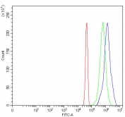 Flow cytometry testing of fixed and permeabilized human JK-1 cells with PRPF18 antibody at 1ug/million cells (blocked with goat sera); Red=cells alone, Green=isotype control, Blue= PRPF18 antibody.