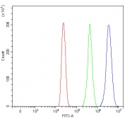 Flow cytometry testing of fixed and permeabilized human HL60 cells with RPS13 antibody at 1ug/million cells (blocked with goat sera); Red=cells alone, Green=isotype control, Blue= RPS13 antibody.