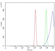 Flow cytometry testing of fixed and permeabilized human HEL cells with RRAS antibody at 1ug/million cells (blocked with goat sera); Red=cells alone, Green=isotype control, Blue= RRAS antibody.