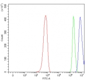 Flow cytometry testing of fixed and permeabilized human PC-3 cells with PAN2 antibody at 1ug/million cells (blocked with goat sera); Red=cells alone, Green=isotype control, Blue= PAN2 antibody.
