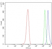 Flow cytometry testing of fixed and permeabilized human PC-3 cells with AS3 antibody at 1ug/million cells (blocked with goat sera); Red=cells alone, Green=isotype control, Blue= AS3 antibody.