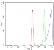 Flow cytometry testing of fixed and permeabilized human HEL cells with C-C chemokine receptor type 4 antibody at 1ug/million cells (blocked with goat sera); Red=cells alone, Green=isotype control, Blue= C-C chemokine receptor type 4 antibody.