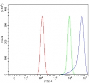 Flow cytometry testing of fixed and permeabilized human HEL cells with PLVAP antibody at 1ug/million cells (blocked with goat sera); Red=cells alone, Green=isotype control, Blue= PLVAP antibody.