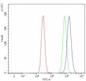 Flow cytometry testing of fixed and permeabilized human MCF7 cells with PLXDC2 antibody at 1ug/million cells (blocked with goat sera); Red=cells alone, Green=isotype control, Blue= PLXDC2 antibody.