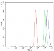Flow cytometry testing of fixed and permeabilized human U-87 MG cells with PHTF1 antibody at 1ug/million cells (blocked with goat sera); Red=cells alone, Green=isotype control, Blue= PHTF1 antibody.