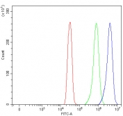 Flow cytometry testing of fixed and permeabilized human SiHa cells with PNPLA6 antibody at 1ug/million cells (blocked with goat sera); Red=cells alone, Green=isotype control, Blue= PNPLA6 antibody.