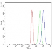 Flow cytometry testing of fixed and permeabilized human 293T cells with TRAILR2 antibody at 1ug/million cells (blocked with goat sera); Red=cells alone, Green=isotype control, Blue= TRAILR2 antibody.