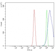 Flow cytometry testing of fixed and permeabilized human PC-3 cells with Carcinoembryonic Antigen antibody at 1ug/million cells (blocked with goat sera); Red=cells alone, Green=isotype control, Blue= Carcinoembryonic Antigen antibody.