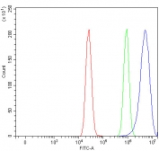 Flow cytometry testing of fixed and permeabilized human MCF7 cells with PPP1R15B antibody at 1ug/million cells (blocked with goat sera); Red=cells alone, Green=isotype control, Blue= PPP1R15B antibody.