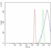 Flow cytometry testing of fixed and permeabilized human SiHa cells with Glucosidase 2 subunit beta antibody at 1ug/million cells (blocked with goat sera); Red=cells alone, Green=isotype control, Blue= Glucosidase 2 subunit beta antibody.