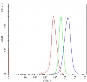 Flow cytometry testing of fixed and permeabilized human HepG2 cells with TM2D3 antibody at 1ug/million cells (blocked with goat sera); Red=cells alone, Green=isotype control, Blue= TM2D3 antibody.