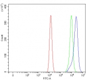 Flow cytometry testing of fixed and permeabilized human HEL cells with PRRG1 antibody at 1ug/million cells (blocked with goat sera); Red=cells alone, Green=isotype control, Blue= PRRG1 antibody.