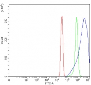 Flow cytometry testing of fixed and permeabilized human SiHa cells with ILPIP antibody at 1ug/million cells (blocked with goat sera); Red=cells alone, Green=isotype control, Blue= ILPIP antibody.