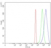 Flow cytometry testing of fixed and permeabilized human JK cells with PPAN antibody at 1ug/million cells (blocked with goat sera); Red=cells alone, Green=isotype control, Blue= PPAN antibody.