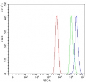 Flow cytometry testing of fixed and permeabilized human U-87 MG cells with POLR2H antibody at 1ug/million cells (blocked with goat sera); Red=cells alone, Green=isotype control, Blue= POLR2H antibody.