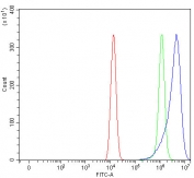 Flow cytometry testing of fixed and permeabilized human HEL cells with Chronophin antibody at 1ug/million cells (blocked with goat sera); Red=cells alone, Green=isotype control, Blue= Chronophin antibody.
