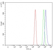 Flow cytometry testing of fixed and permeabilized human A431 cells with PRDM15 antibody at 1ug/million cells (blocked with goat sera); Red=cells alone, Green=isotype control, Blue= PRDM15 antibody.