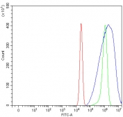 Flow cytometry testing of fixed and permeabilized human U-2 OS cells with Phosphoglycerate kinase 2 antibody at 1ug/million cells (blocked with goat sera); Red=cells alone, Green=isotype control, Blue= Phosphoglycerate kinase 2 antibody.