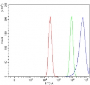 Flow cytometry testing of fixed and permeabilized human MCF7 cells with CDC42 antibody at 1ug/million cells (blocked with goat sera); Red=cells alone, Green=isotype control, Blue= CDC42 antibody.