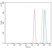 Flow cytometry testing of fixed and permeabilized human A431 cells with POLR1B antibody at 1ug/million cells (blocked with goat sera); Red=cells alone, Green=isotype control, Blue= POLR1B antibody.