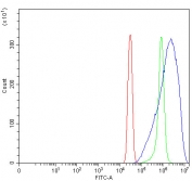 Flow cytometry testing of fixed and permeabilized human SiHa cells with PPP2R5B antibody at 1ug/million cells (blocked with goat sera); Red=cells alone, Green=isotype control, Blue= PPP2R5B antibody.