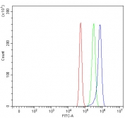 Flow cytometry testing of fixed and permeabilized mouse RAW264.7 cells with Epcam antibody at 1ug/million cells (blocked with goat sera); Red=cells alone, Green=isotype control, Blue= Epcam antibody.
