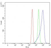 Flow cytometry testing of fixed and permeabilized human SiHa cells with CREB-2 antibody at 1ug/million cells (blocked with goat sera); Red=cells alone, Green=isotype control, Blue= CREB-2 antibody.