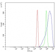 Flow cytometry testing of fixed and permeabilized human SiHa cells with PRKCA antibody at 1ug/million cells (blocked with goat sera); Red=cells alone, Green=isotype control, Blue= PRKCA antibody.