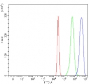 Flow cytometry testing of fixed and permeabilized human U937 cells with HRMT1L2 antibody at 1ug/million cells (blocked with goat sera); Red=cells alone, Green=isotype control, Blue= HRMT1L2 antibody.