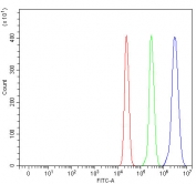 Flow cytometry testing of fixed and permeabilized human U937 cells with NDUFA5 antibody at 1ug/million cells (blocked with goat sera); Red=cells alone, Green=isotype control, Blue= NDUFA5 antibody.