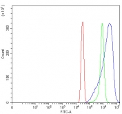 Flow cytometry testing of fixed and permeabilized human SiHa cells with NDUFA7 antibody at 1ug/million cells (blocked with goat sera); Red=cells alone, Green=isotype control, Blue= NDUFA7 antibody.