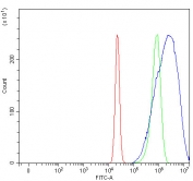 Flow cytometry testing of fixed and permeabilized human U-2 OS cells with HGPRTase antibody at 1ug/million cells (blocked with goat sera); Red=cells alone, Green=isotype control, Blue= HGPRTase antibody.