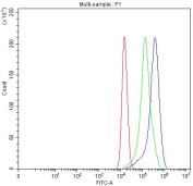 Flow cytometry testing of fixed and permeabilized human A549 cells with HGPRTase antibody at 1ug/million cells (blocked with goat sera); Red=cells alone, Green=isotype control, Blue= HGPRTase antibody.