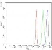 Flow cytometry testing of fixed and permeabilized human JK cells with C12orf53 antibody at 1ug/million cells (blocked with goat sera); Red=cells alone, Green=isotype control, Blue= C12orf53 antibody.