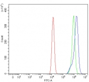 Flow cytometry testing of fixed and permeabilized human HEL cells with PILRA antibody at 1ug/million cells (blocked with goat sera); Red=cells alone, Green=isotype control, Blue= PILRA antibody.