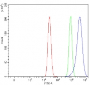Flow cytometry testing of fixed and permeabilized human MCF7 cells with PLD6 antibody at 1ug/million cells (blocked with goat sera); Red=cells alone, Green=isotype control, Blue= PLD6 antibody.