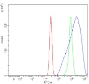 Flow cytometry testing of fixed and permeabilized human SiHa cells with PLET1 antibody at 1ug/million cells (blocked with goat sera); Red=cells alone, Green=isotype control, Blue= PLET1 antibody.