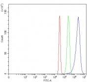 Flow cytometry testing of fixed and permeabilized human HepG2 cells with Plasmolipin antibody at 1ug/million cells (blocked with goat sera); Red=cells alone, Green=isotype control, Blue= Plasmolipin antibody.