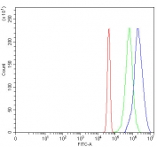 Flow cytometry testing of fixed and permeabilized human JK cells with OVOL2 antibody at 1ug/million cells (blocked with goat sera); Red=cells alone, Green=isotype control, Blue= OVOL2 antibody.