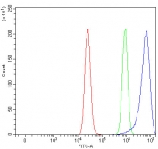 Flow cytometry testing of fixed and permeabilized human MCF7 cells with PPM1N antibody at 1ug/million cells (blocked with goat sera); Red=cells alone, Green=isotype control, Blue= PPM1N antibody.